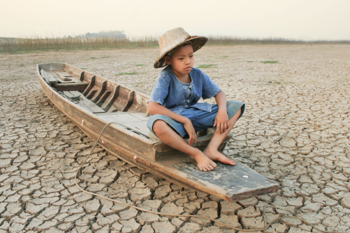10 soluciones para frenar el cambio climático